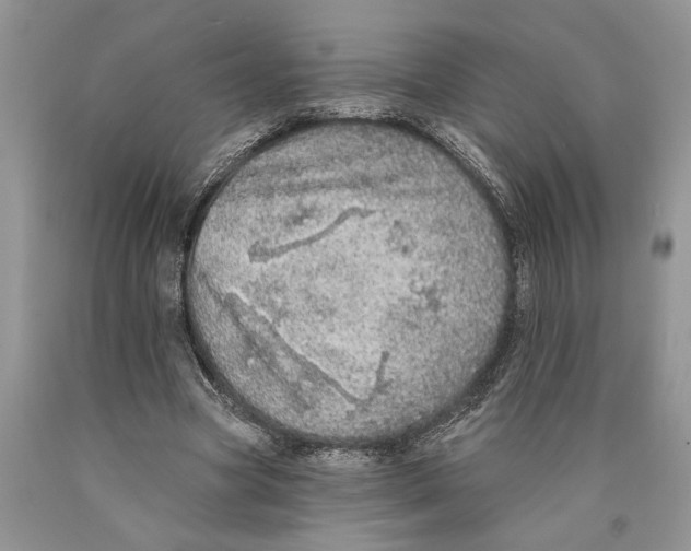 X0000089960537200707271903