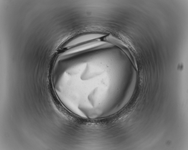 X0000089960538200707271903