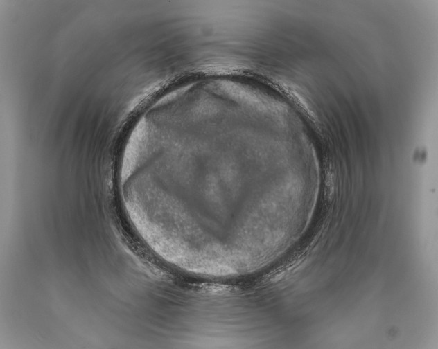 X0000089960539200707271903