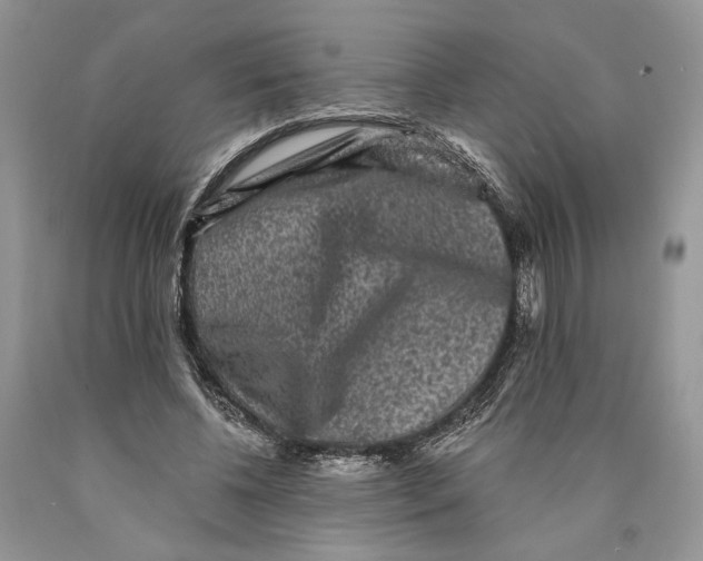 X0000089960540200707271903