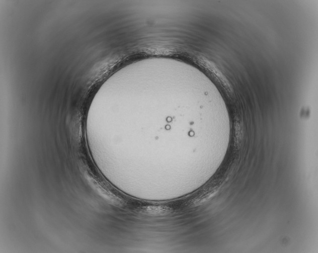 X0000089960541200707271903