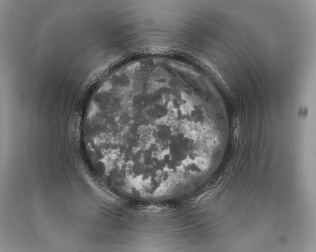 X0000089960542200707271903