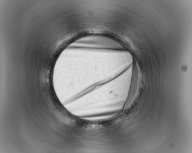 X0000089960543200707271903