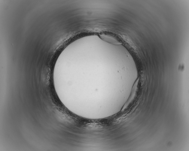 X0000089960544200707271903