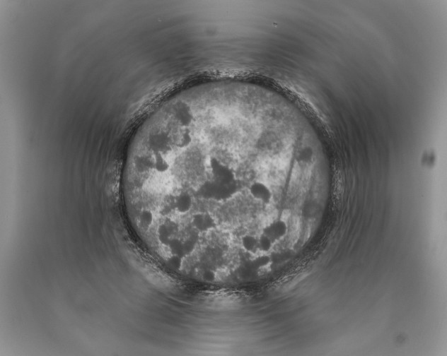 X0000089960545200707271903