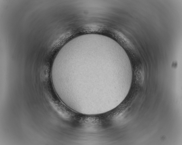 X0000089960546200707271903