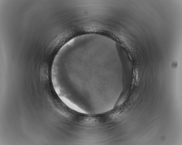 X0000089960547200707271903