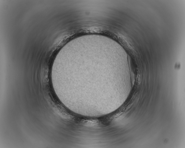 X0000089960548200707271903