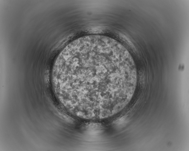 X0000089960549200707271903