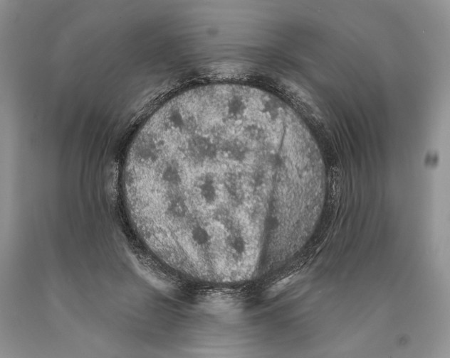 X0000089960550200707271903