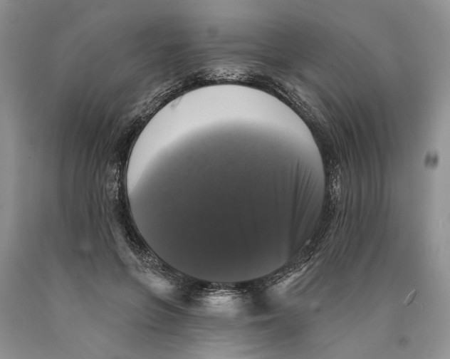 X0000089960551200707271903