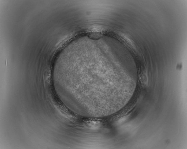 X0000089960552200707271903