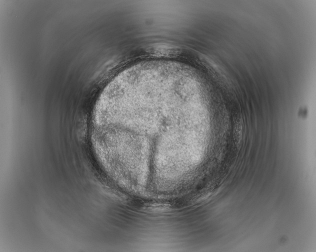 X0000089960554200707271903