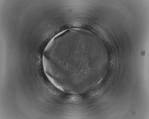 X0000089960555200707271903