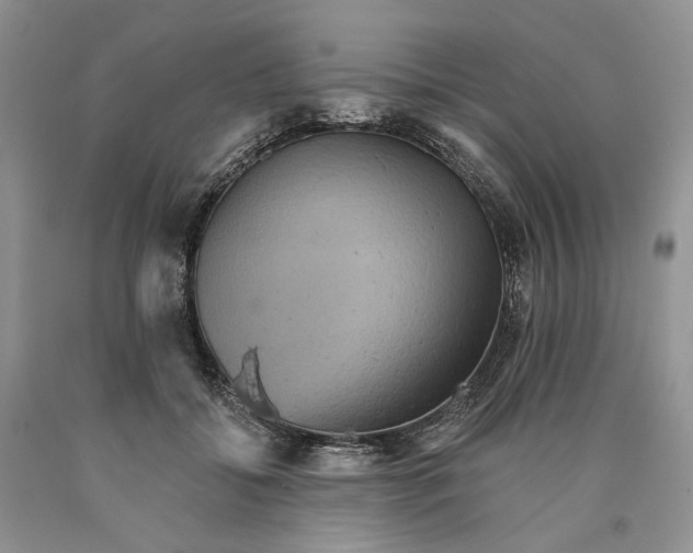 X0000089960556200707271903