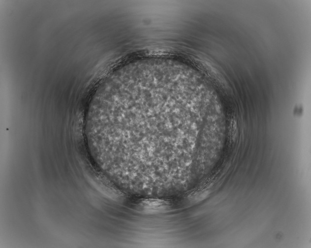 X0000089960557200707271903