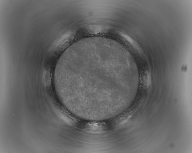 X0000089960558200707271903