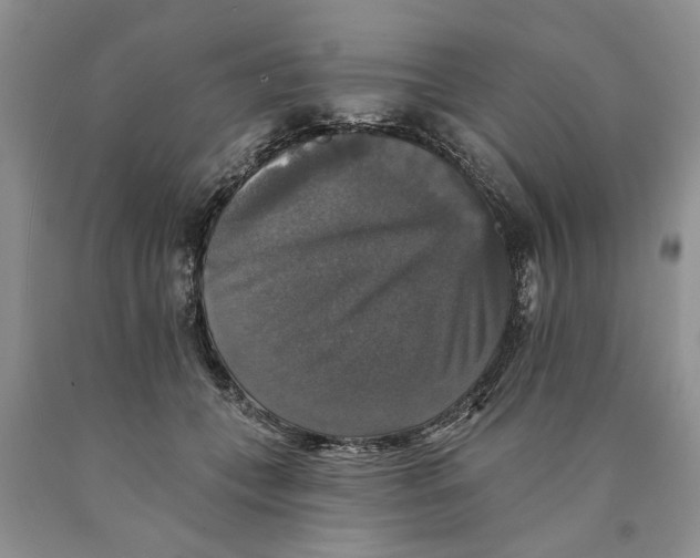 X0000089960559200707271903