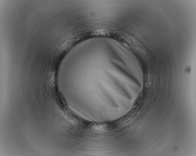 X0000089960560200707271903