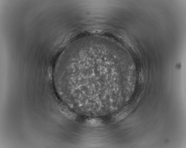 X0000089960561200707271903