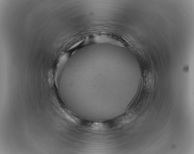 X0000089960562200707271903