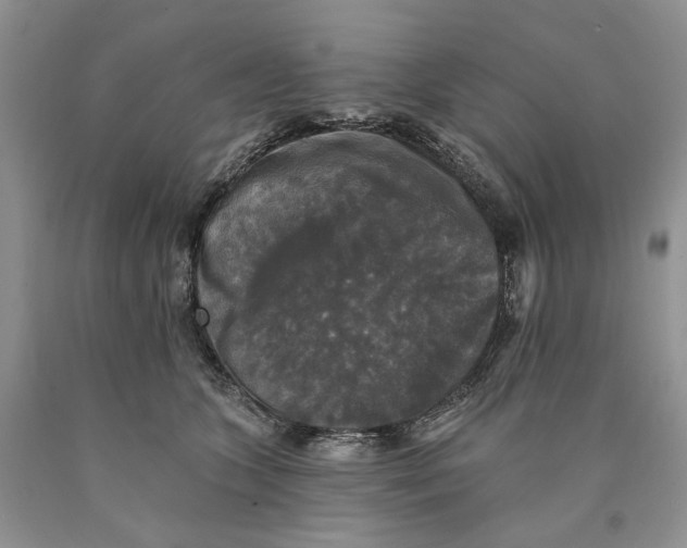 X0000089960563200707271903