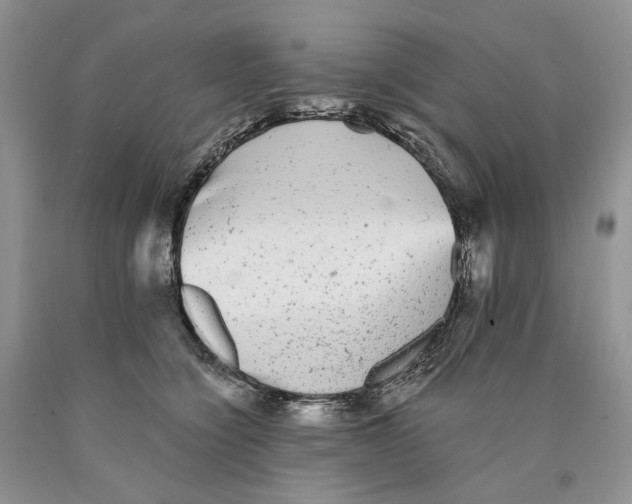 X0000089960564200707271903