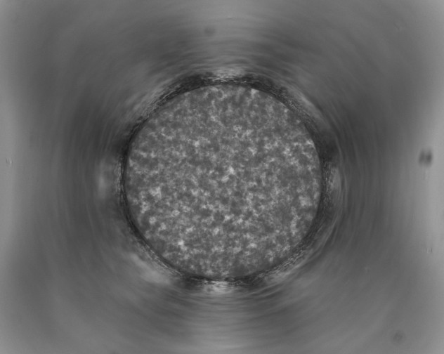 X0000089960565200707271903