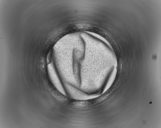 X0000089960567200707271904