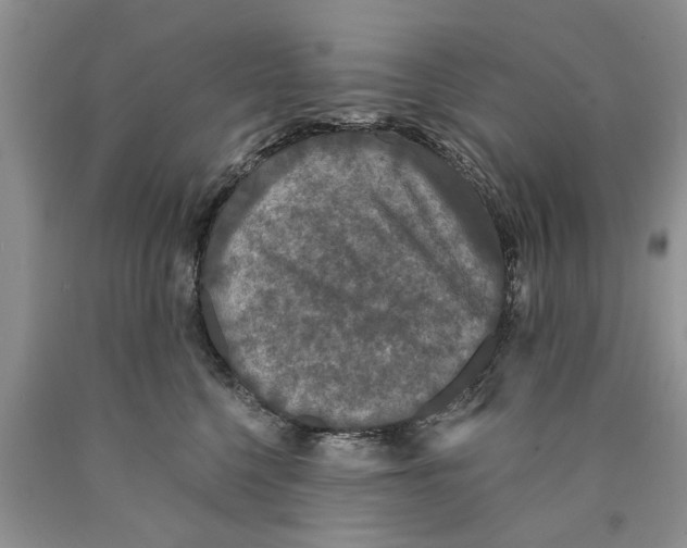 X0000089960568200707271904