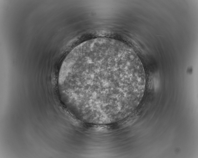 X0000089960569200707271904