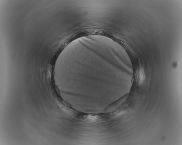 X0000089960570200707271904