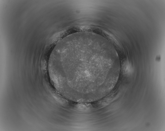 X0000089960571200707271904