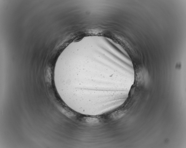 X0000089960572200707271904