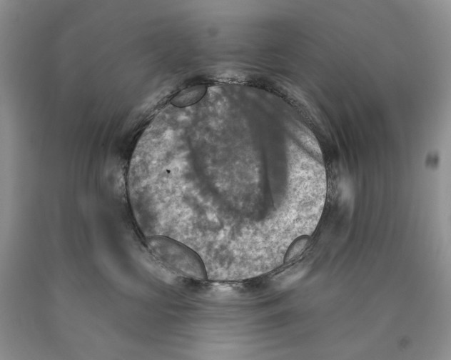 X0000089960573200707271904