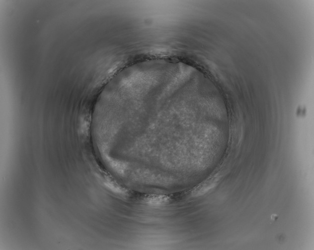 X0000089960576200707271904