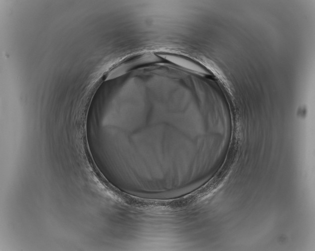 X0000089960577200707271903