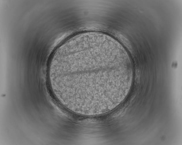 X0000089960578200707271903