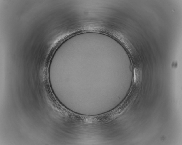 X0000089960579200707271903