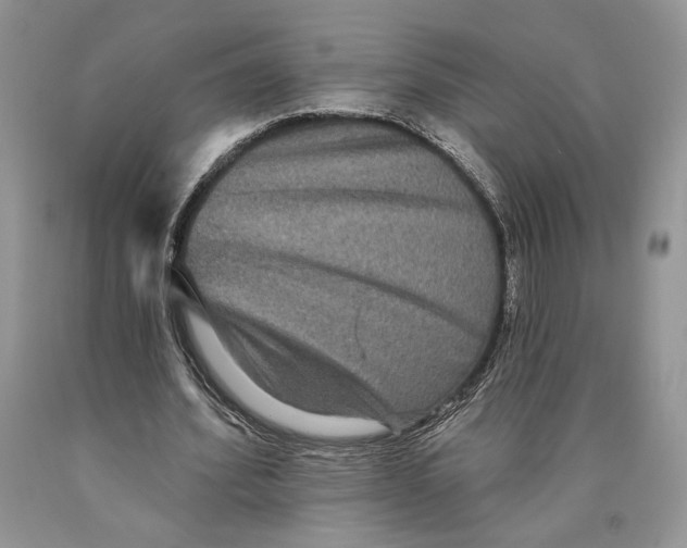 X0000089960580200707271903