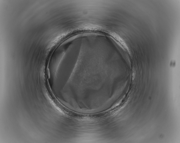 X0000089960581200707271903