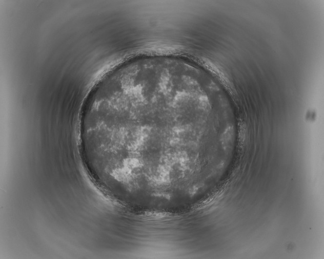 X0000089960582200707271903