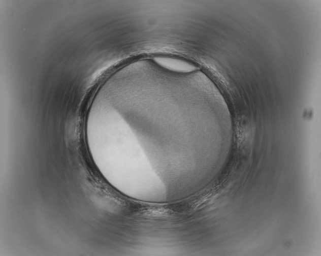 X0000089960583200707271903