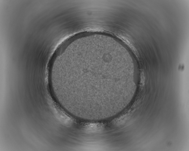 X0000089960584200707271903