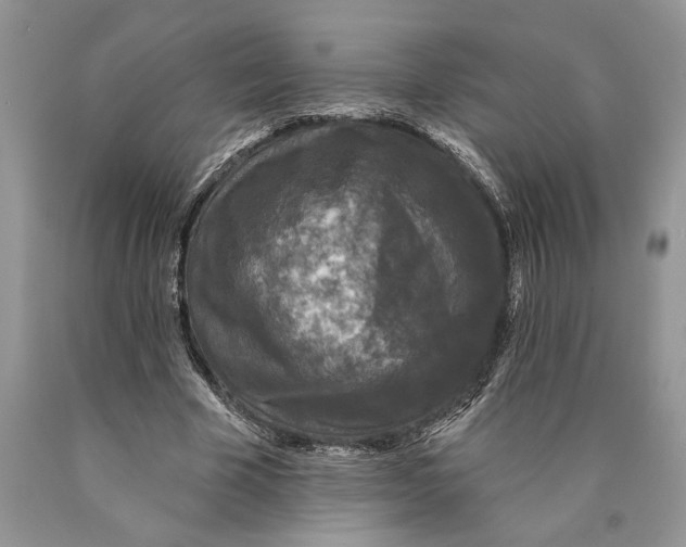 X0000089960585200707271903