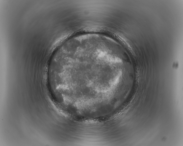 X0000089960586200707271903