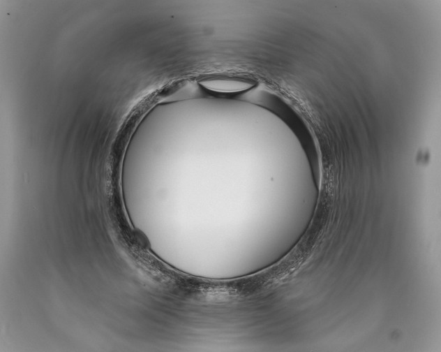 X0000089960587200707271903