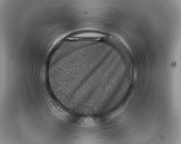 X0000089960588200707271903