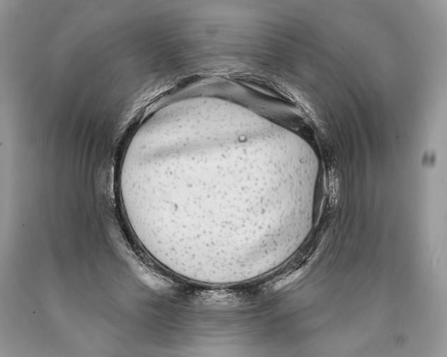 X0000089960589200707271903