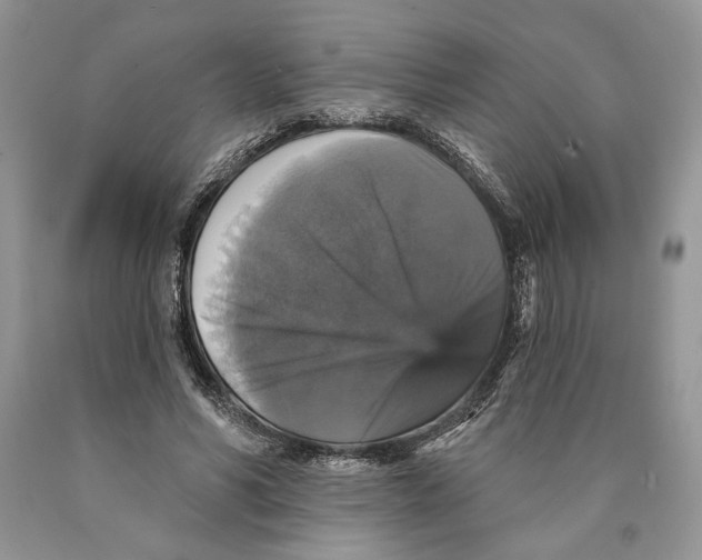 X0000089960590200707271903